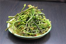 蕨菜有毒不敢用？真的是這樣的嗎【重慶火鍋底料批發(fā)在哪里】