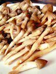嶺南菌王當季，食客們?yōu)橹偪瘛局貞c火鍋底料批發(fā)商】