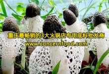 它的功效賽人參，味道還異常鮮美！【重慶火鍋底料廠家】