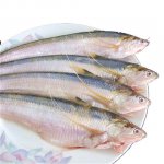 長江刀魚禁捕兩個月后，竟有飯店公然出售相關(guān)菜品