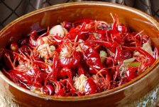 小龍蝦跌破10元/斤！可飯店為啥還是賣那么貴？