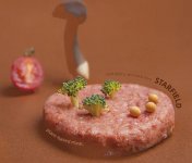 未來持續(xù)發(fā)展的方向：挖掘植物肉作為菜品的多樣性、借助成熟產(chǎn)品深度走進(jìn)中式餐飲【重慶火鍋底料批發(fā)在哪里】