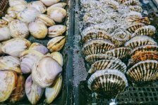 市值縮水近90%后，“中國水產(chǎn)第一股”指望預制菜“救命”？