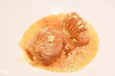 對話魏旭翔、林衛(wèi)輝：粵菜創(chuàng)新，步子還可以邁大一點
